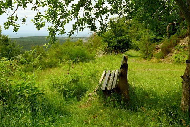 背后的真正 背后的真正