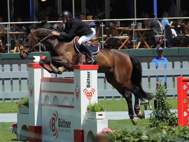 大鱼吃小鱼 大鱼吃小鱼